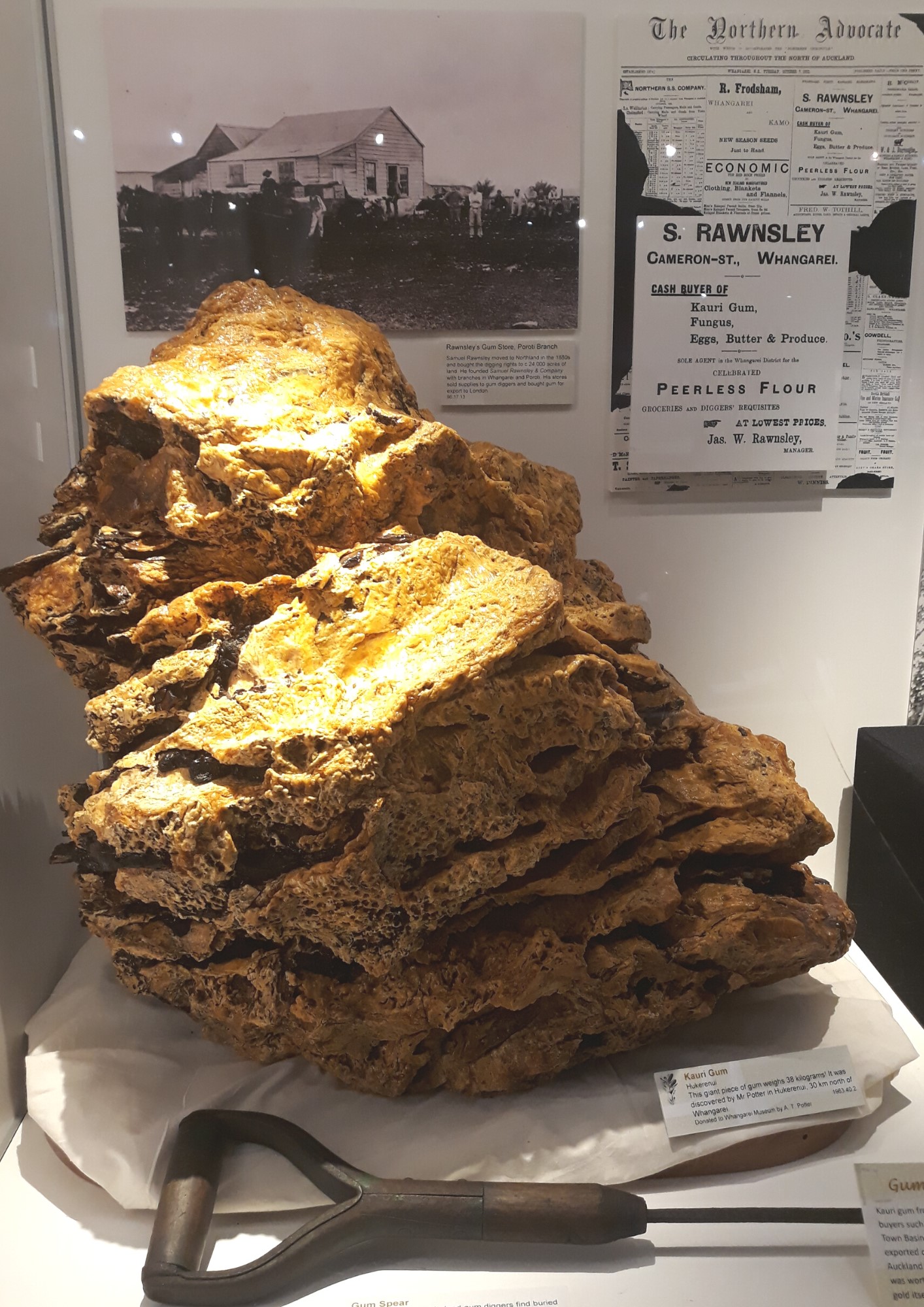 Mel Williams, Visitor Services